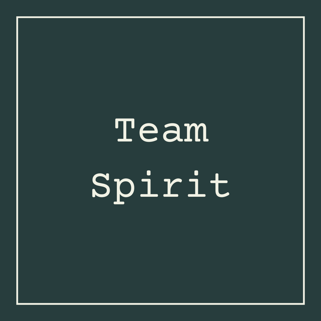 Team Spirit